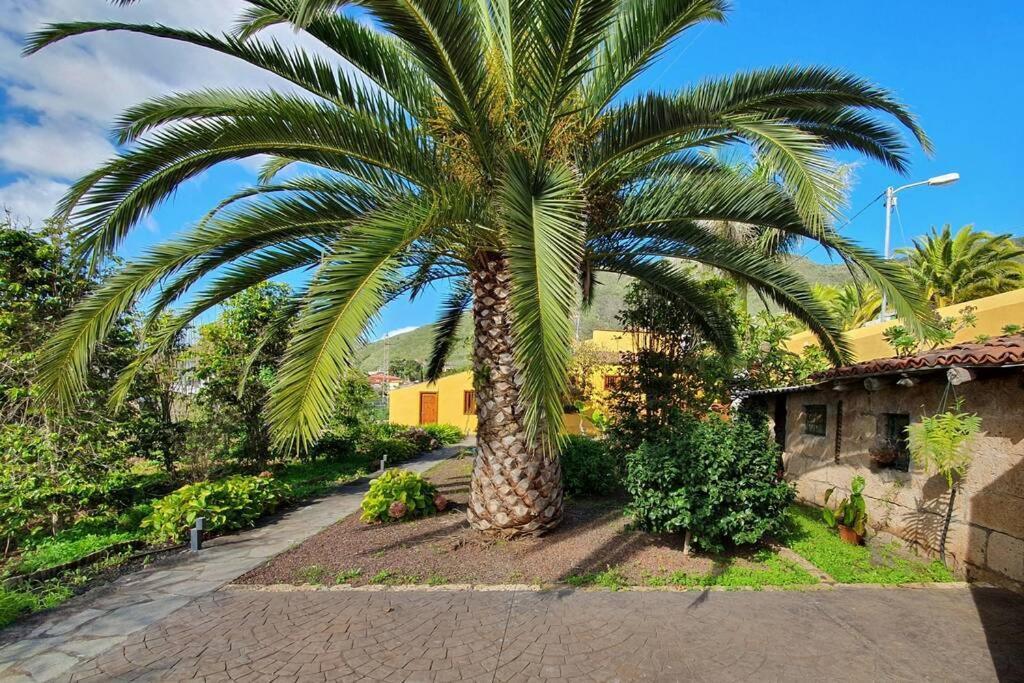 Casa Emblematica Apartment Tegueste ภายนอก รูปภาพ